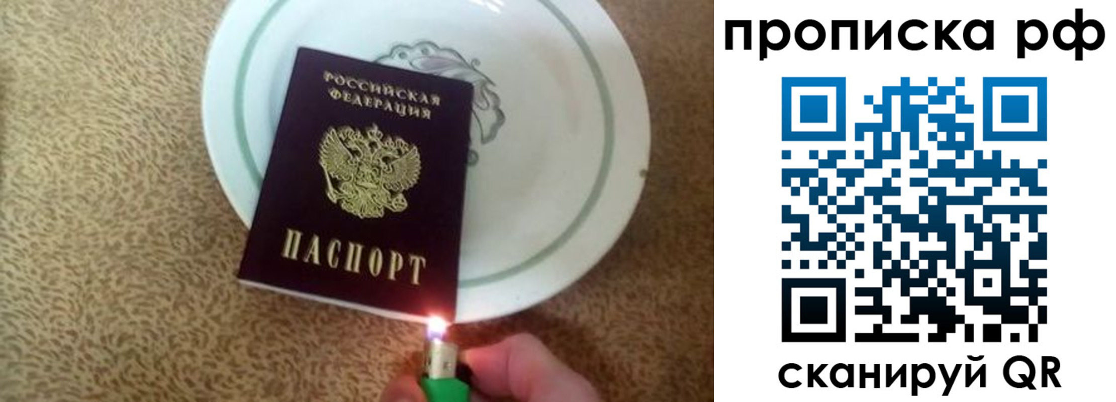 прописка в квартире в Тайге